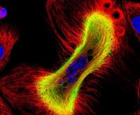 proteomics